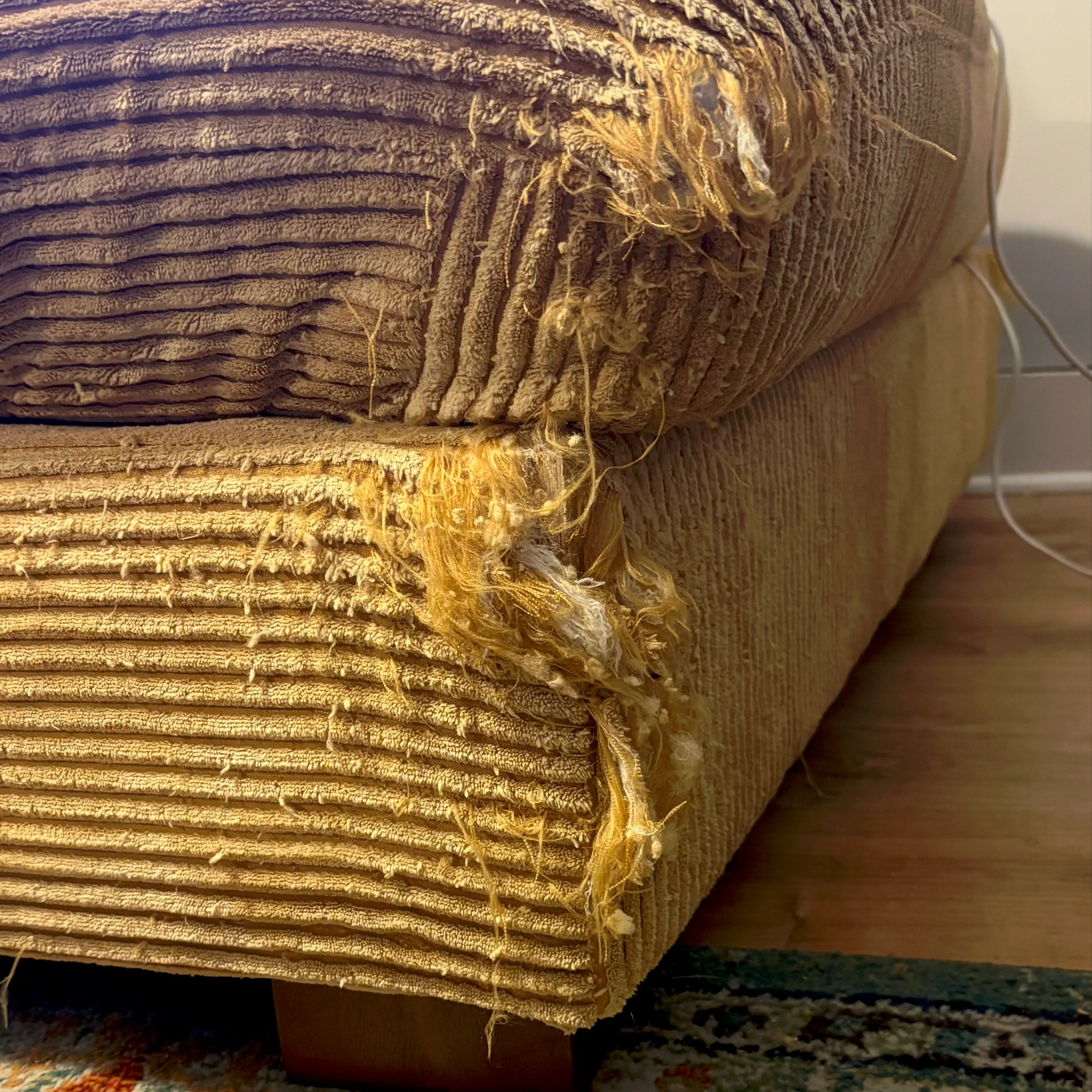 A couch corner ripped by cat