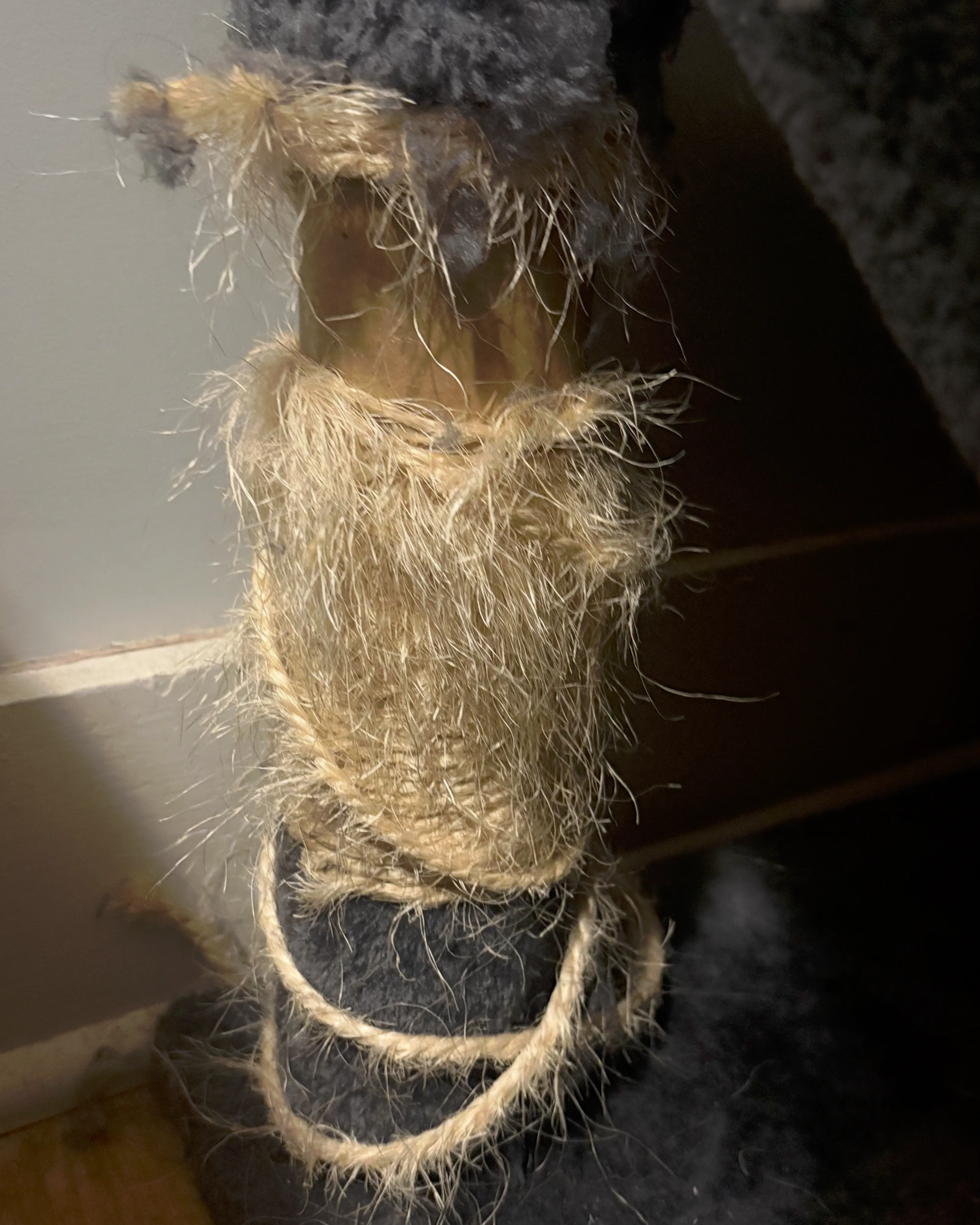 Cat scratcher ripped by cat